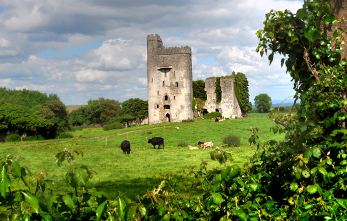 Ballyadams Castle, Ireland